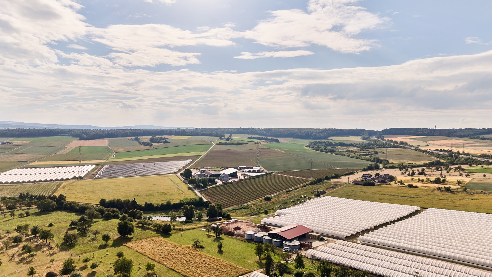 Wetterauer_Fruechtchen_06_2026_DJI_HIGHDJI_20260617184748_0091_D_web
