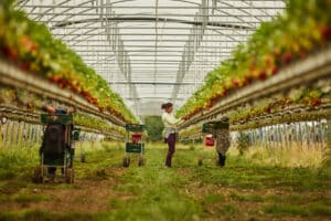 Wetterauer_Fruechtchen_06_2026_HIGH_N3A2774_web